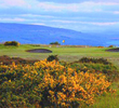 Royal Dornoch Golf Club - Carnegie Shield